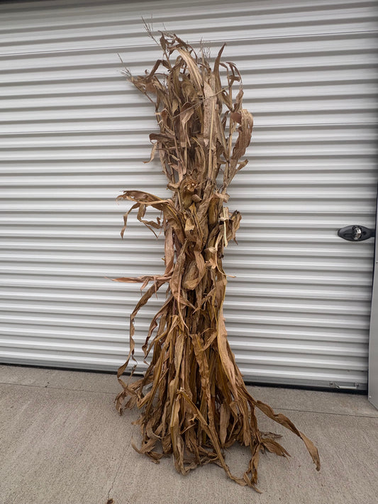 Add-On: Cornstalk Bundle