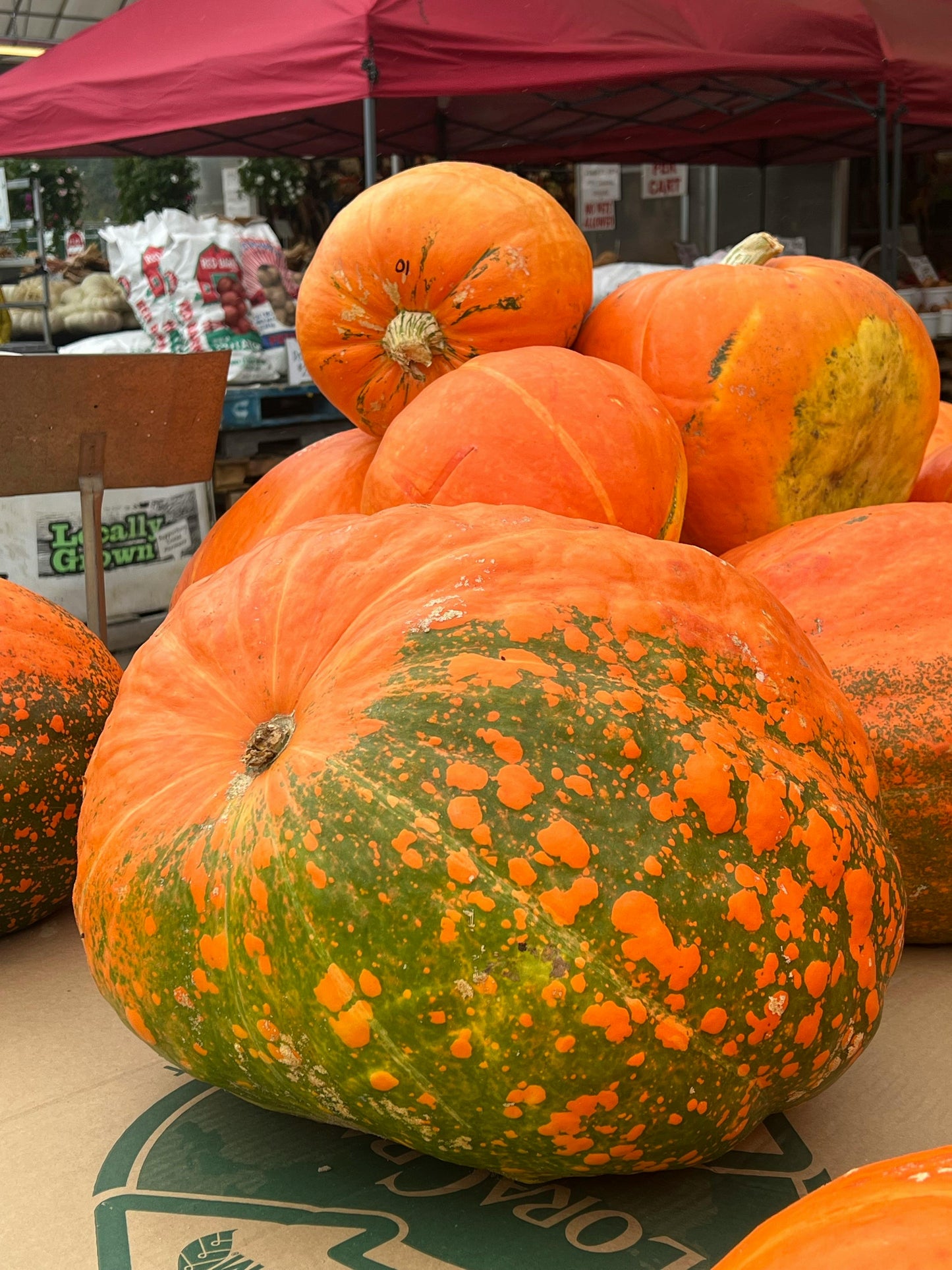 Add on: Jumbo Pumpkin