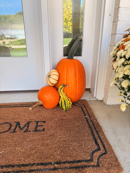 🏡Pumpkin Showcase