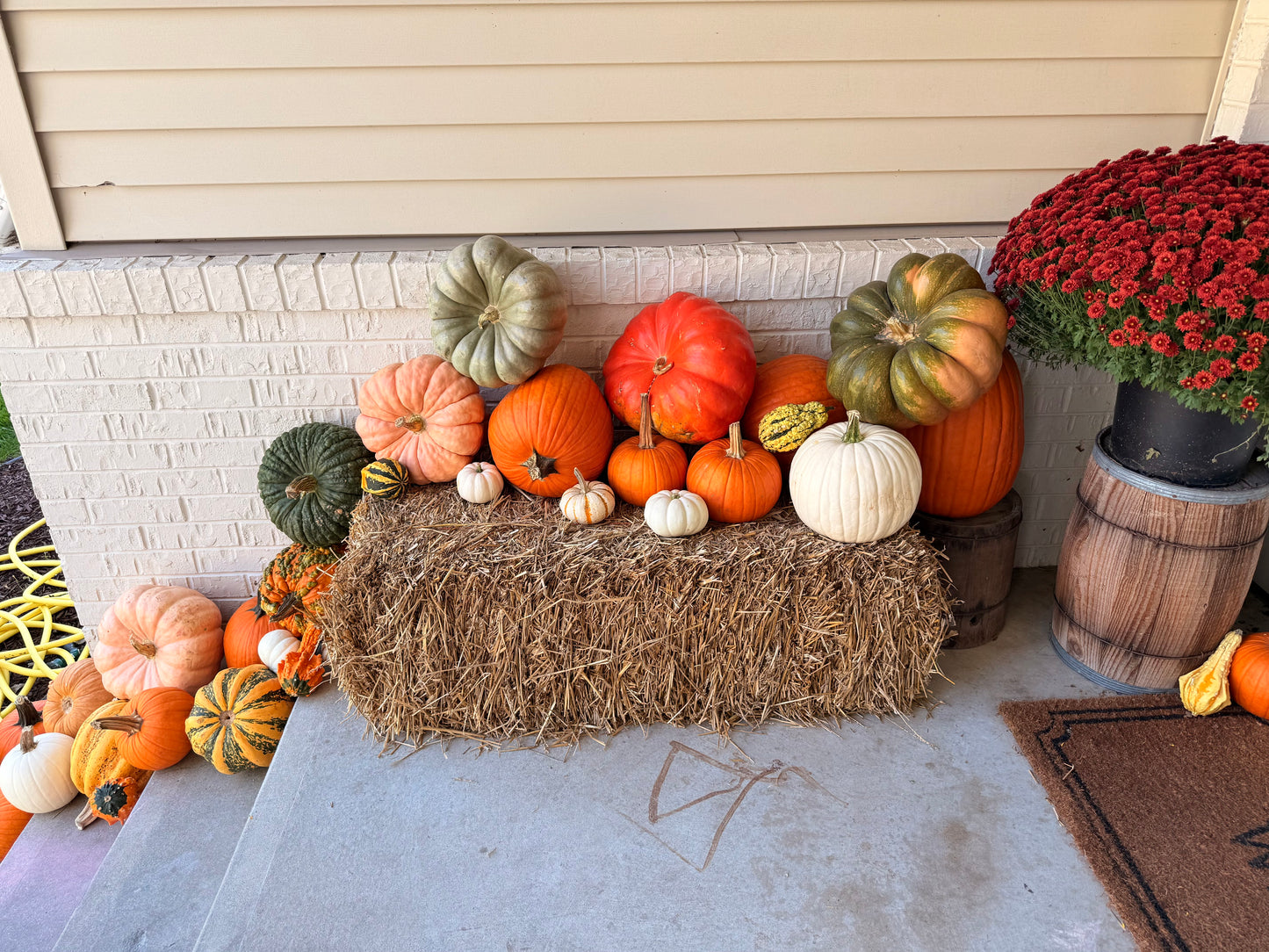 🏡Pumpkin Showcase