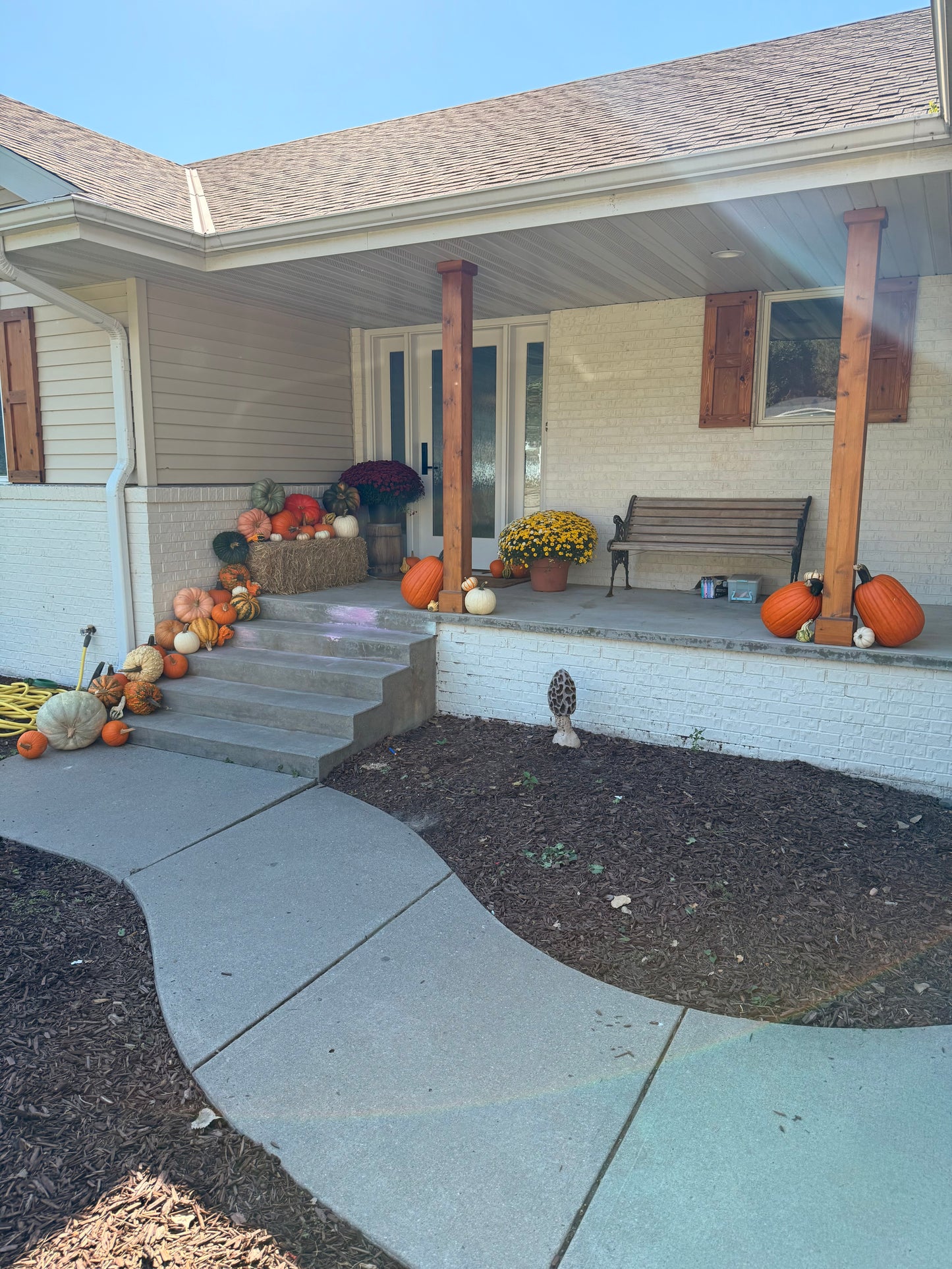 🏡Pumpkin Showcase