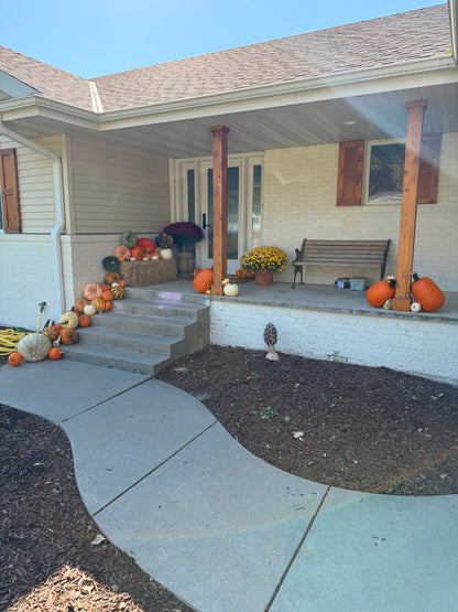 🏡Pumpkin Showcase