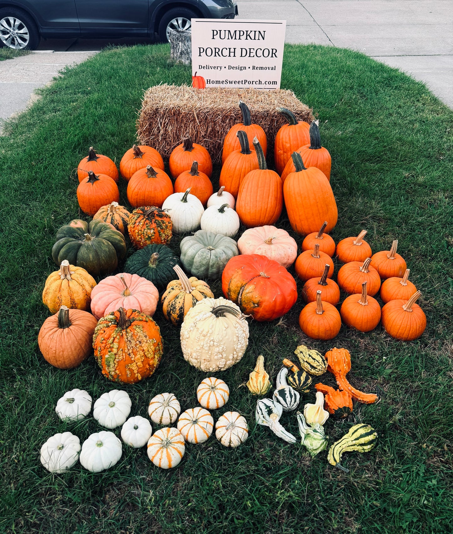 🏡Pumpkin Showcase