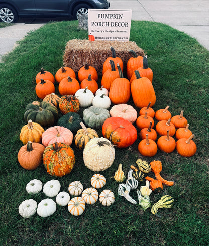 🏡Pumpkin Showcase